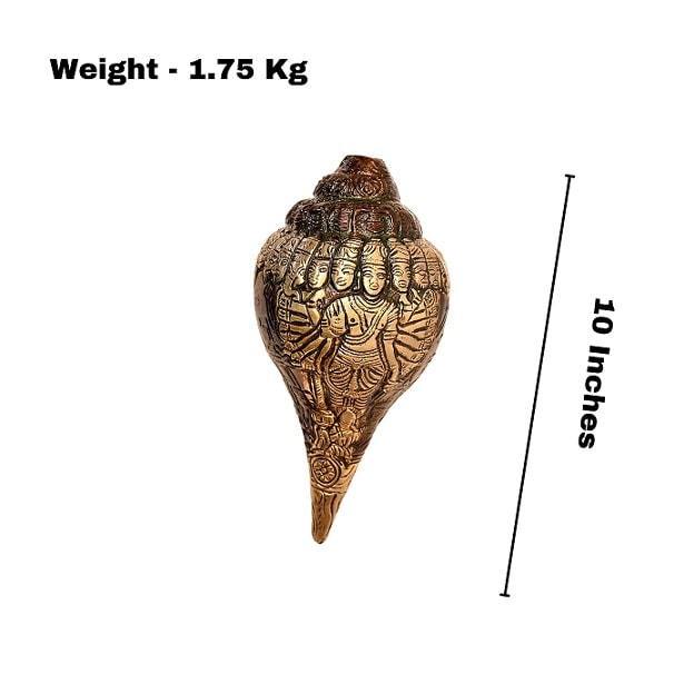 Brass Narayan Shankh (H 10 Inches, Weight 1.75 Kg)