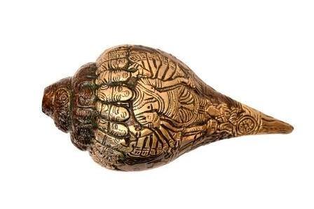 Brass Narayan Shankh (H 10 Inches, Weight 1.75 Kg)