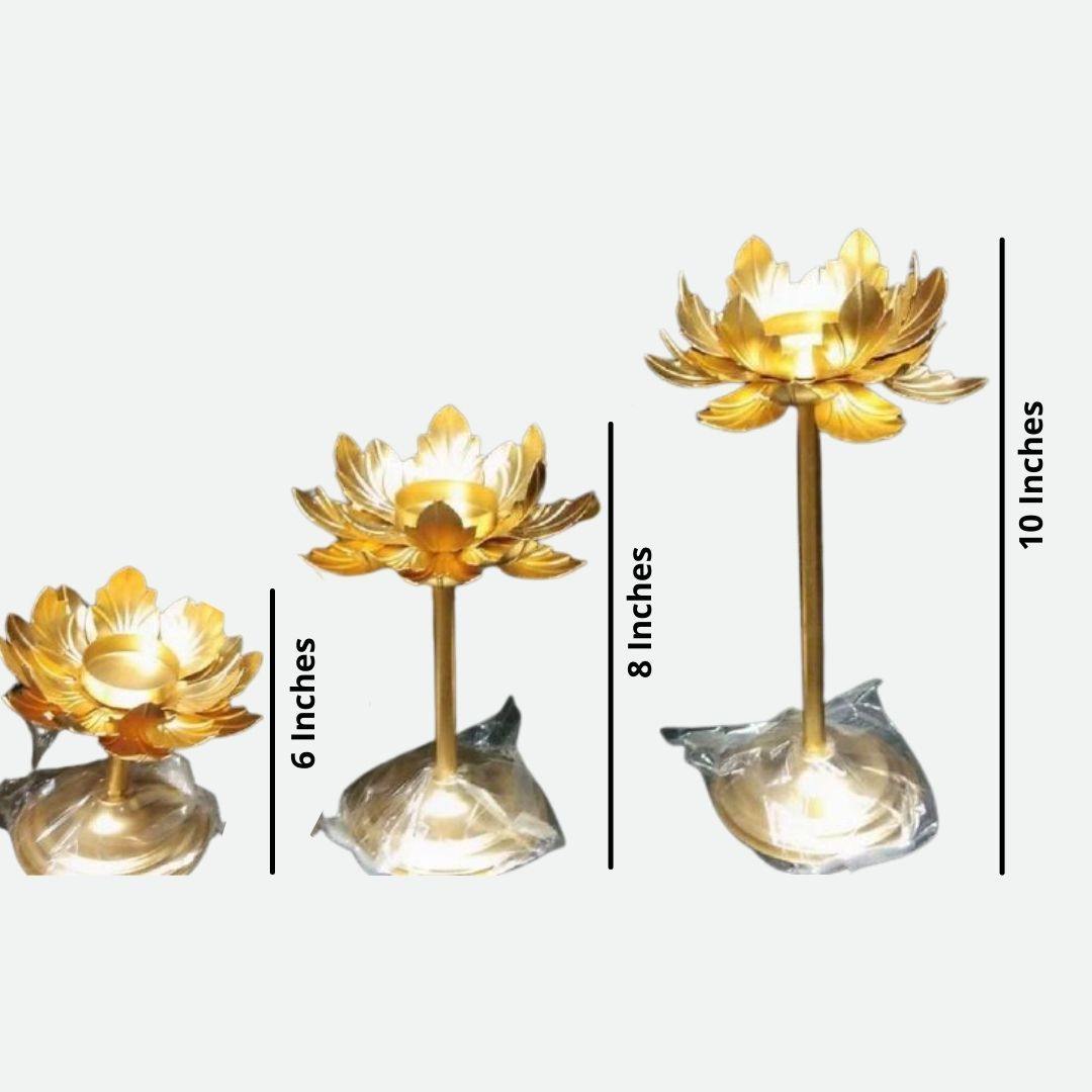 Designer Lotus Stand Set (10, 8, 6 Inches)