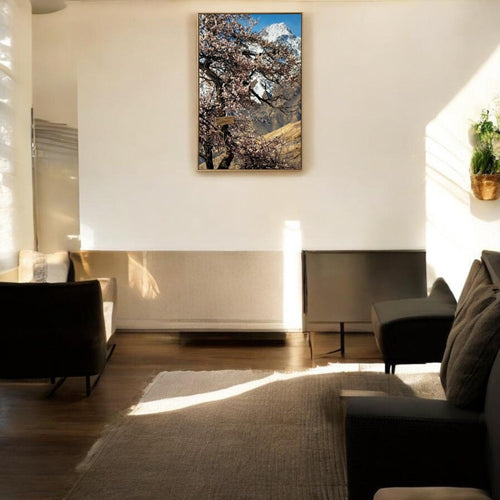Eternal Spring: Himalayan Peak & Cherry Blossoms (24 x 36 Inches)
