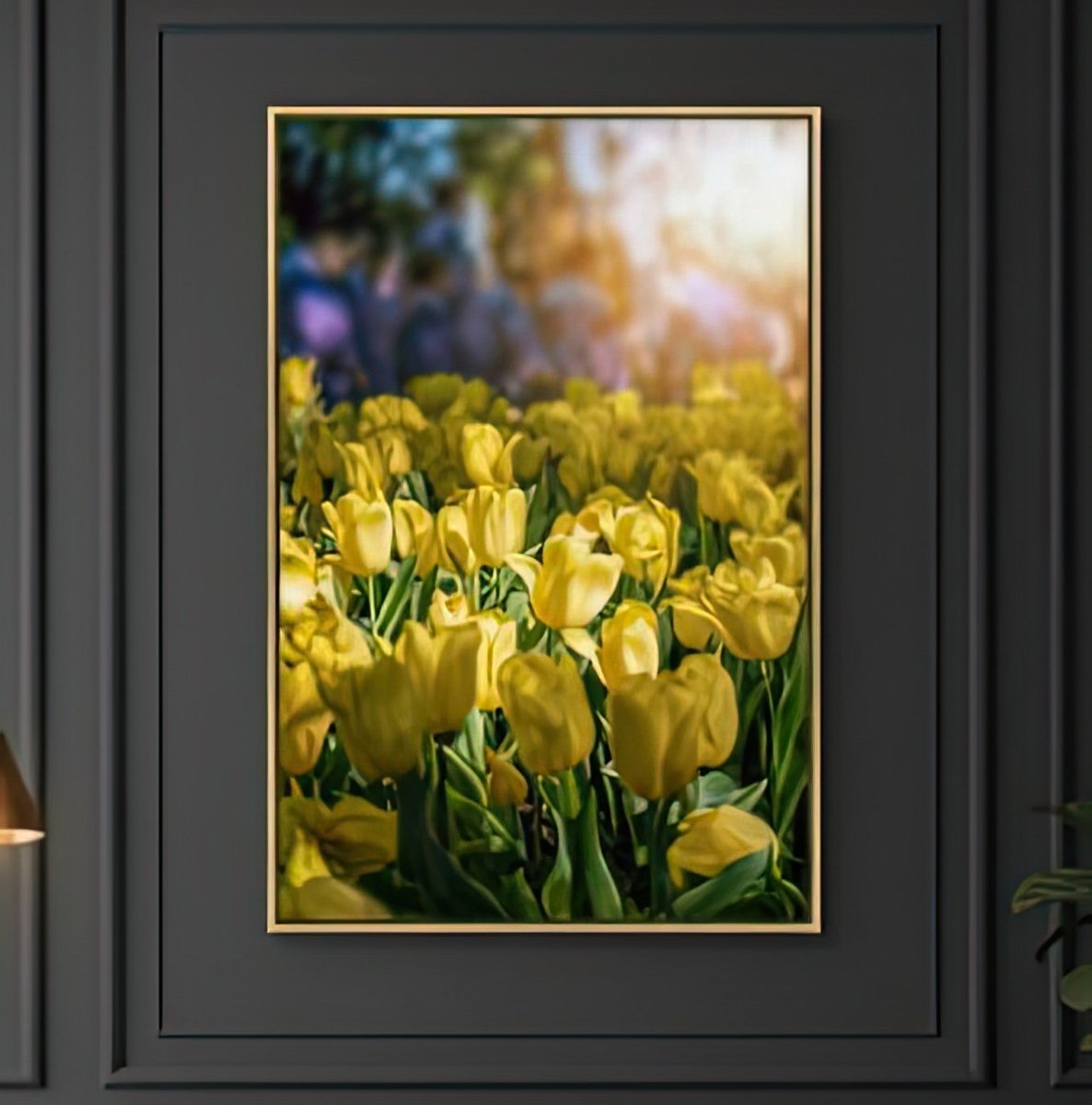Morning Radiance: Fields of Joy Tulip Portrait
