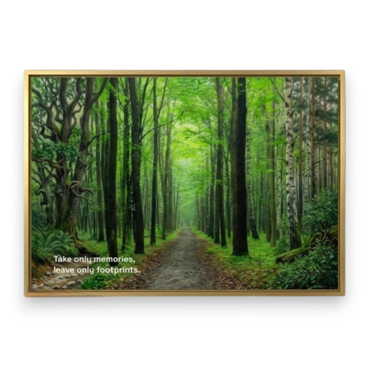 The Silent Trail: Footprints in the Mist: The Path of Memories