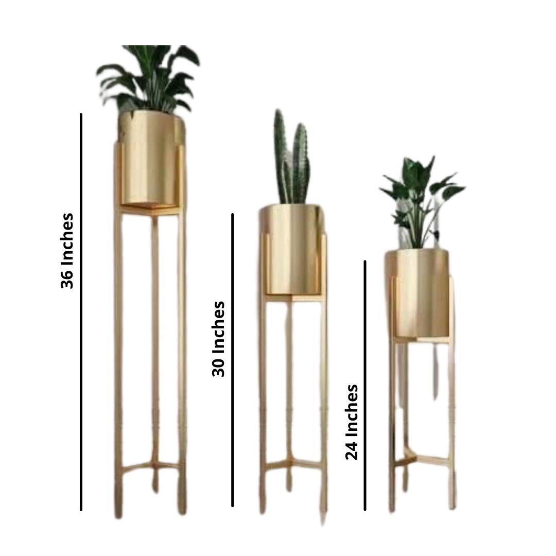 3 Planters set with stand (36, 30, 24 Inches)