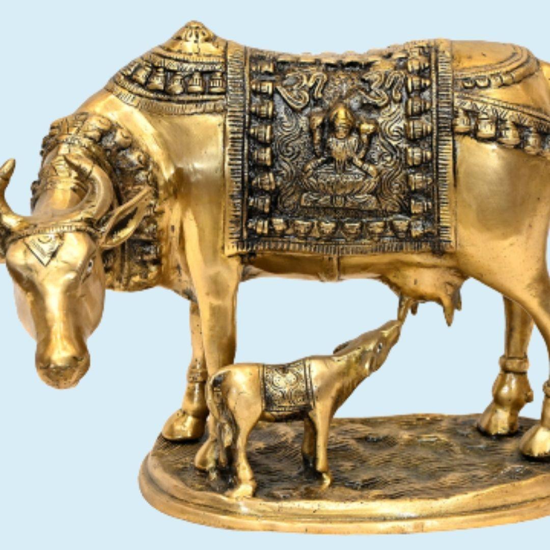 Brass Kamadhenu (15 x 11 Inches, Weight 7.5 Kg)