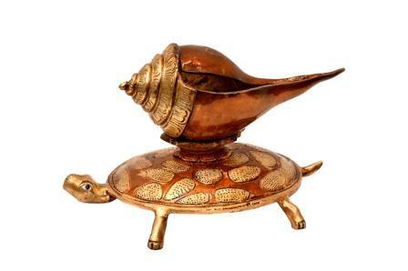 Brass Shell on Turtle (H 9 Inches, Weight 1.5 Kg)
