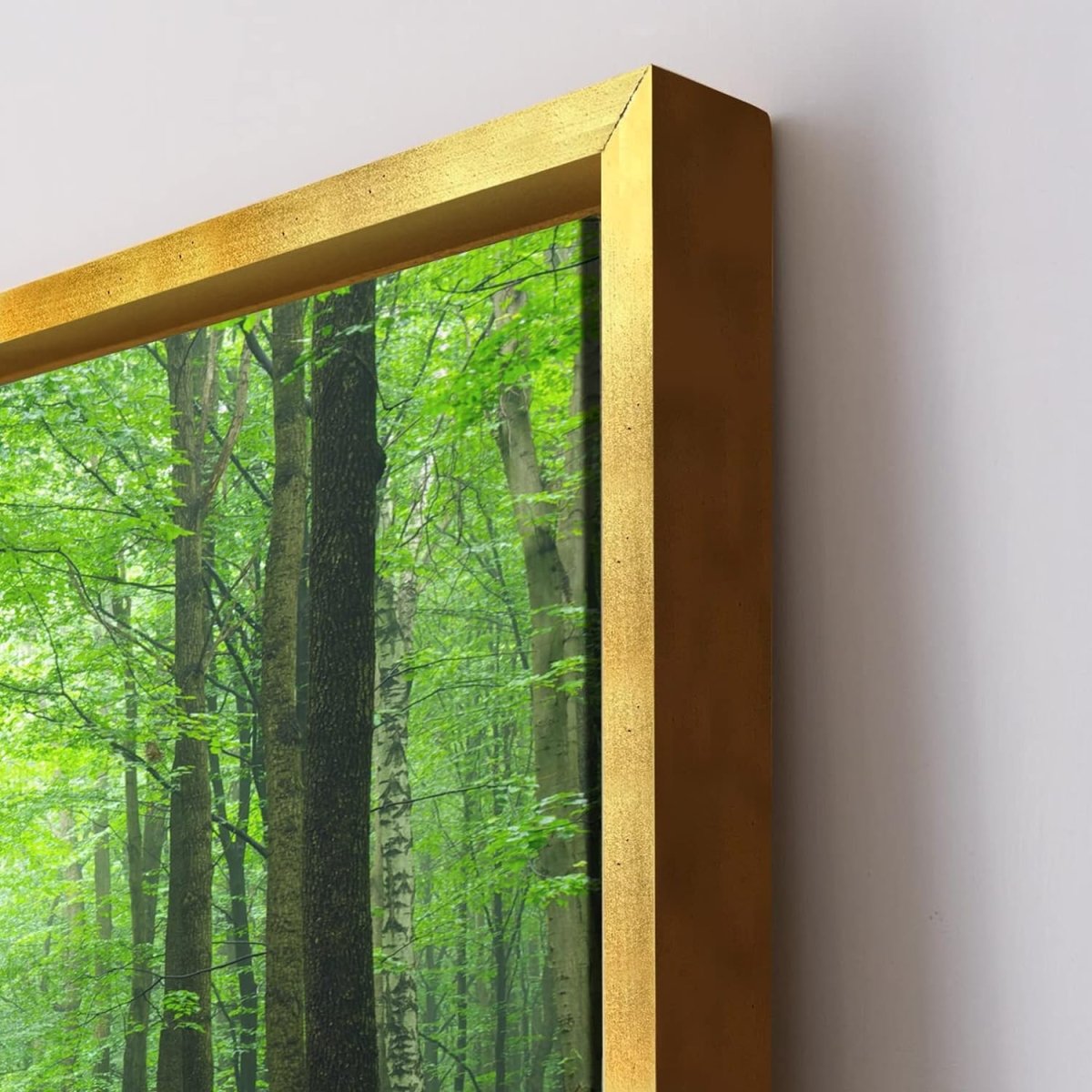 The Forest Trail Framed Canvas Wall Art (24 x 24 Inches)