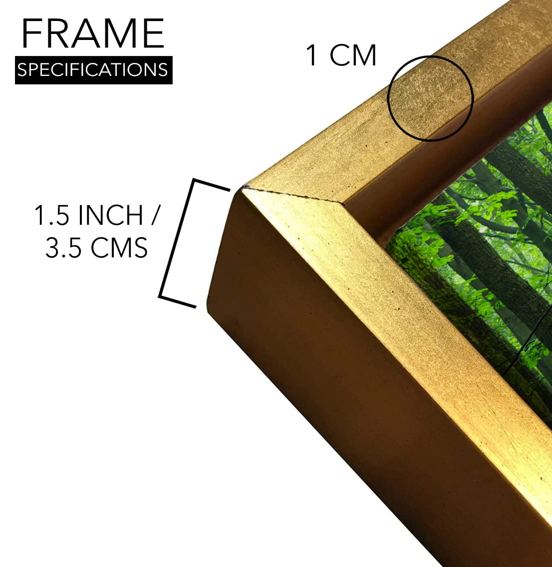 The Forest Trail Framed Canvas Wall Art (24 x 24 Inches)