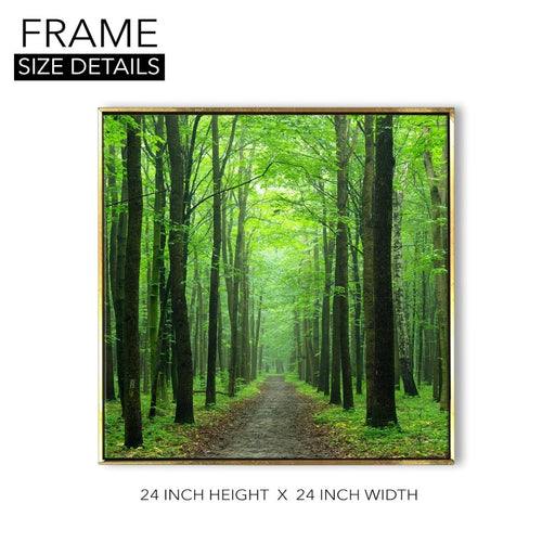 The Forest Trail Framed Canvas Wall Art (24 x 24 Inches)